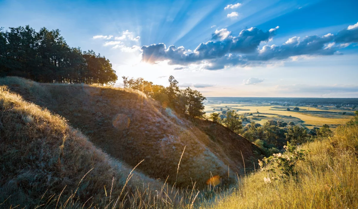 Cała Prawda O Tym Jak wypożyczyć meble (a Której Sprzedawcy Ci Nie Powiedzą)