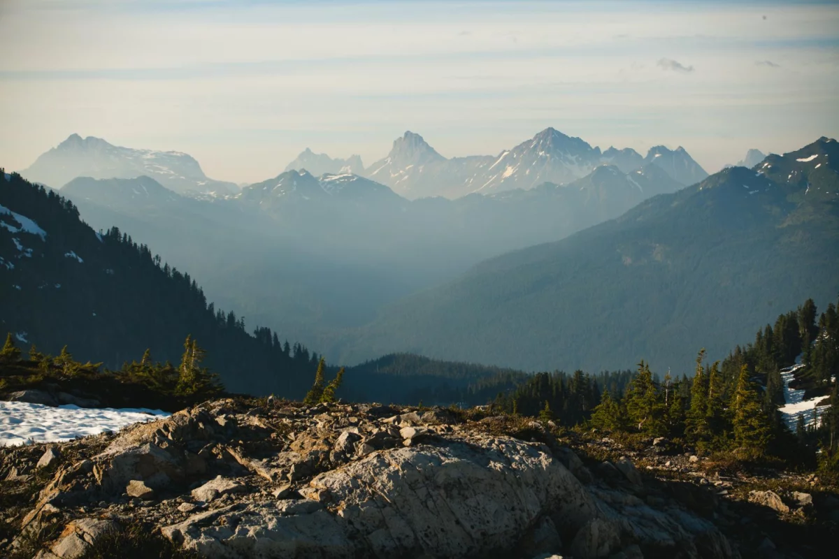 robić tanie pozycjonowanie w nowy sposób