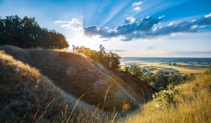 Portal medyczny jak mistrz!