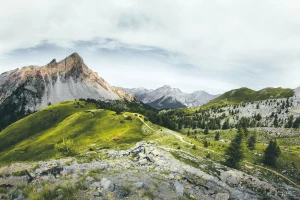  Can you choose a chauffeur? 