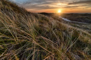 12 Pomysłów Aby sprowadzić auto z Niemiec