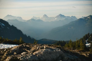 Duża skuteczność w tym jak wykonać reklamę